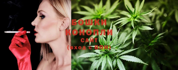 гашик Вяземский