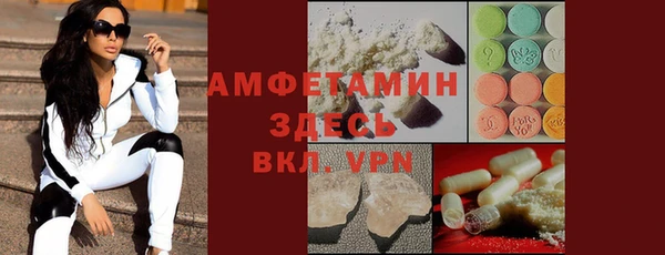 гашик Вяземский