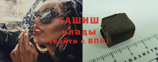 гашик Вяземский