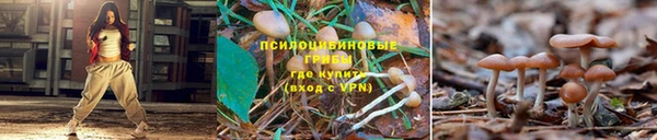 амф Вязьма