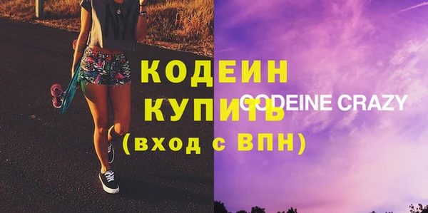 гашик Вяземский