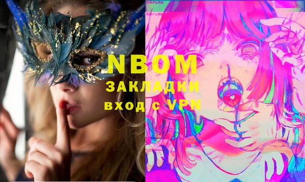 гашик Вяземский