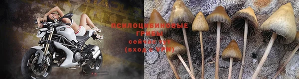 амф Вязьма