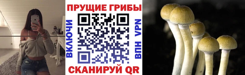 Галлюциногенные грибы мухоморы  Купить где  Любим 